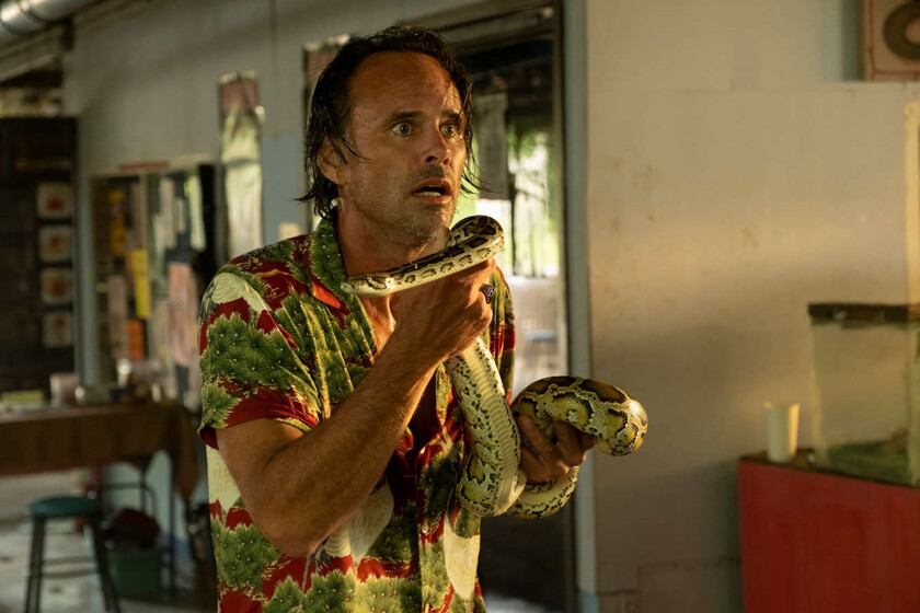"¿Me estoy muriendo lentamente?" Walton Goggins desvela que le mordió una serpiente rodando 'The White Lotus'