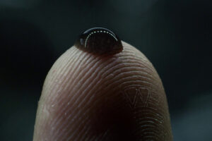 Hoy en TV, uno de los mayores éxitos en taquilla de Ridley Scott y también una de sus películas más criticadas