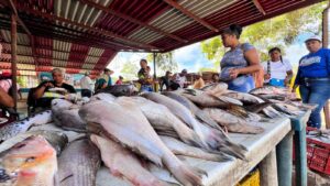 Activada en Monagas primera planta fileteadora de pescado de Oriente