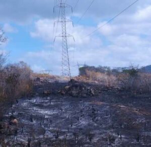 Bomberos continúan desplegados ante incendios forestales en Guri