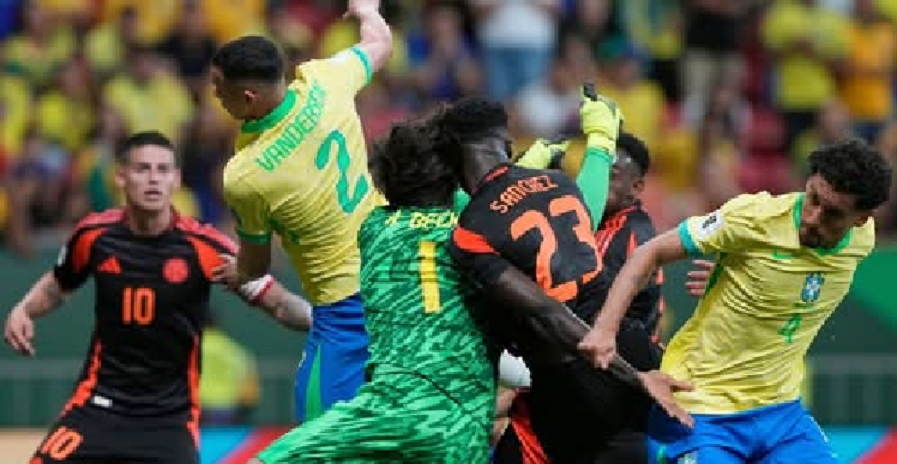 por qué el reglamento avala la decisión