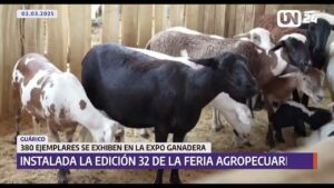 Con feria agropecuaria Zaraza celebra Carnavales