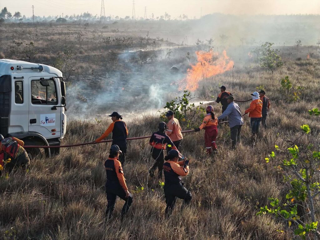 Controlan gran incendio en el Bosque de Uverito en Monagas