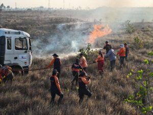 Controlan gran incendio en el Bosque de Uverito en Monagas