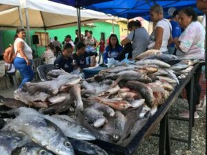 Familias tuyeras reciben atención del programa "Amor en Acción"