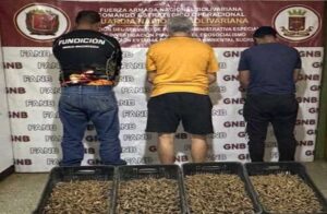 Incautaron 9.638 vainas de cartuchos en una armería clandestina 