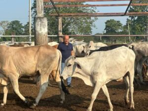 La Fría se consolida como enclave ganadero del Táchira