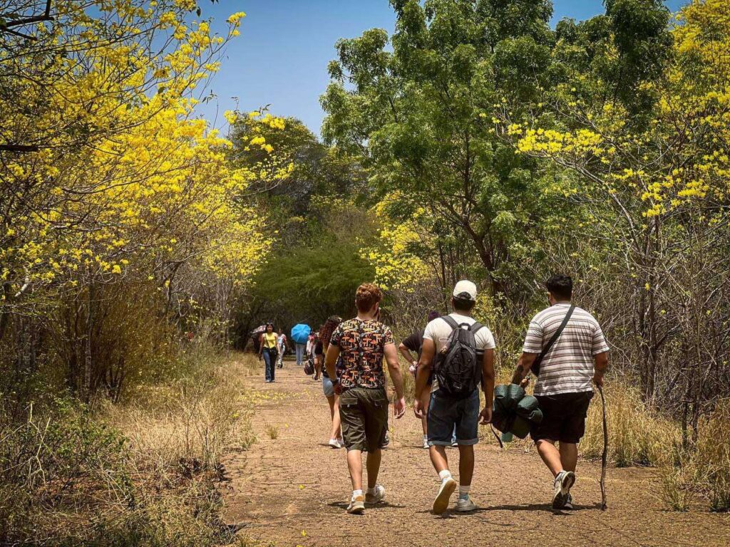 Los Curarires pintaron de amarillo el Jardín Botánico de Maracaibo