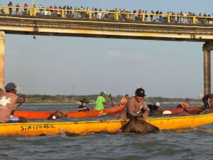 Los llaneros retoman tradición atraviesan a caballo el río Apure