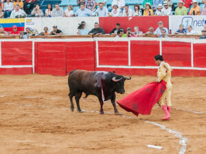 México impulsa iniciativa que prohibe “corridas de toros con sangre"