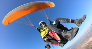 Joao Rafael Silva Robertson