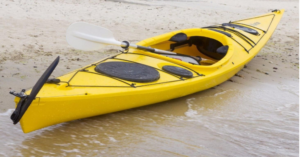 Joao Rafael Silva Robertson