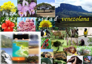 Hjalmar Jesús Gibelli Gómez