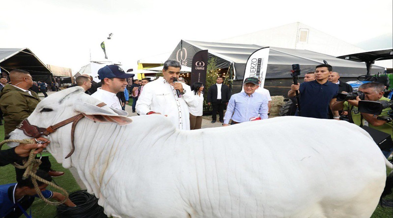 Maduro inaugura 48° Feria Nacional del Cebú y sus cruces