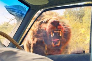 Es uno de los thrillers de acción más emocionantes de los últimos años. Hoy en TV, una intensa película de supervivencia