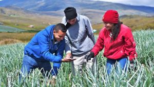 Creatividad e innovación, herramientas claves en favor de la alimentación y la agricultura