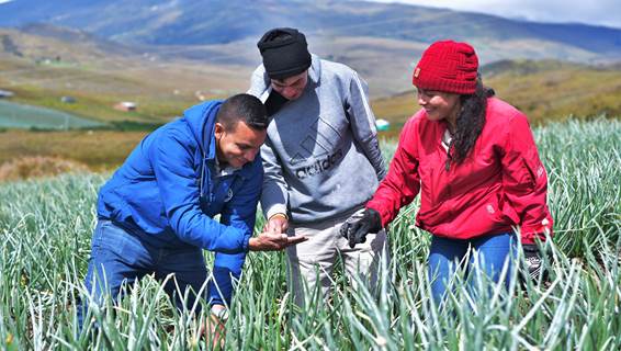 Creatividad e innovación, herramientas claves en favor de la alimentación y la agricultura