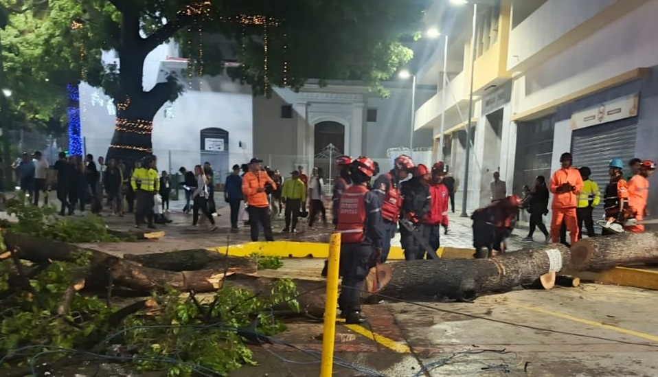 El árbol de 15 metros que cayó sobre tres transeúntes en Caracas
