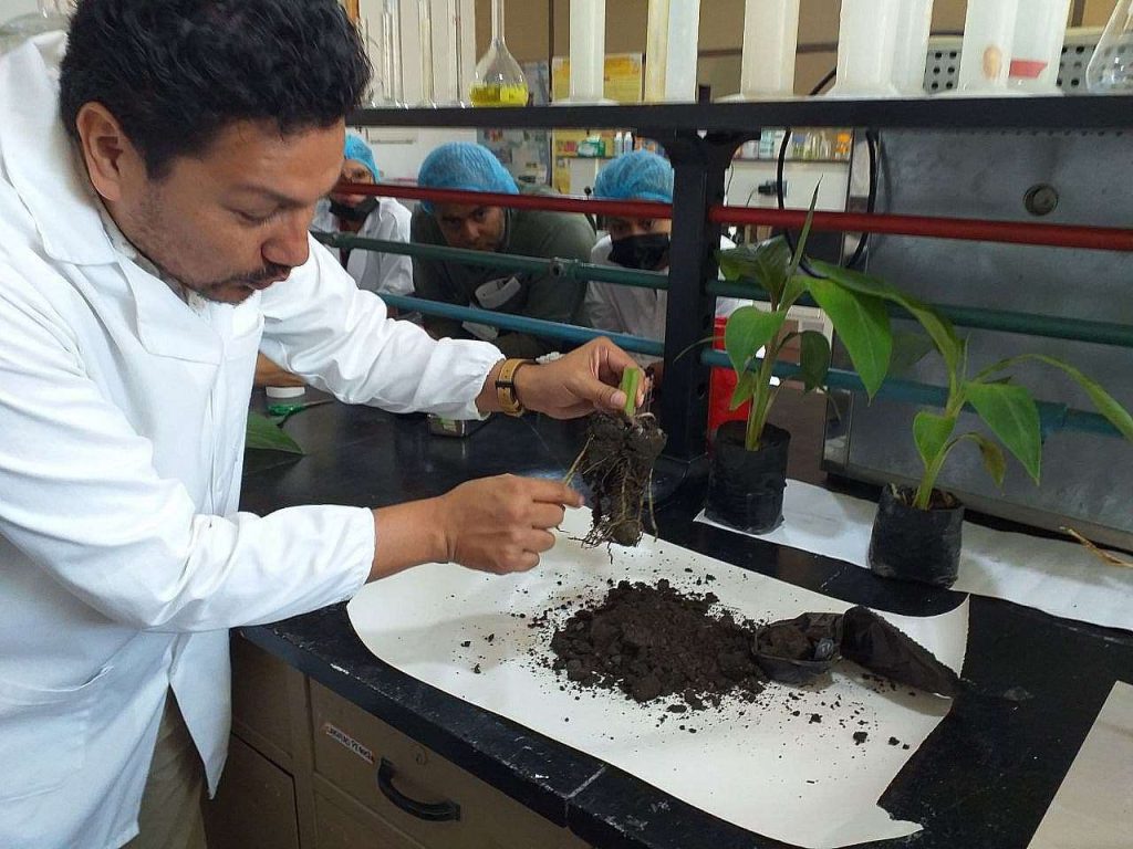 Científicos criollos recibieron capacitación sobre control de enfermedades en cultivos