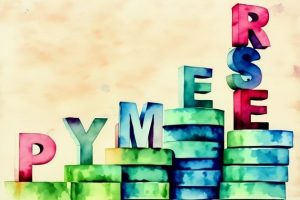 Javier Ceballos Jiménez - La RSE ¡Un motor de crecimiento para las PYMES! - FOTO