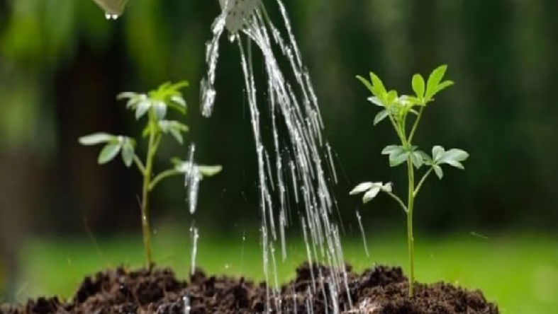 ¿qué puedo hacer por el planeta?