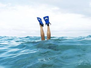 Diversión y fitness 