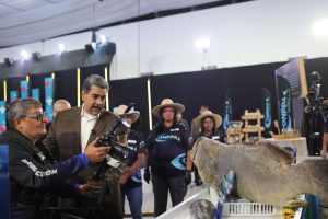 Ferias del pescado vendieron con precios de hasta 80% por debajo del mercado