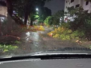 Fuertes lluvias y ventarrones azotaron a Carabobo