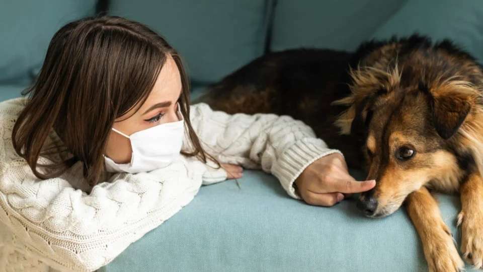 Hay perros y gatos que causan menos alergias