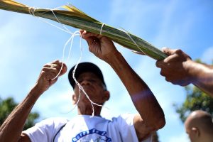 Hoy bajan las palmas del Waraira para misa de Ramos