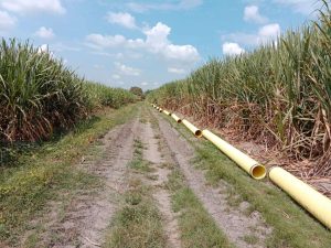 Jesús Ricardo Álvarez Gualtieri: "Tubosa aporta valor al sector agrícola"