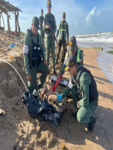La GNB localizó 218 panelas de droga en playa de Falcón