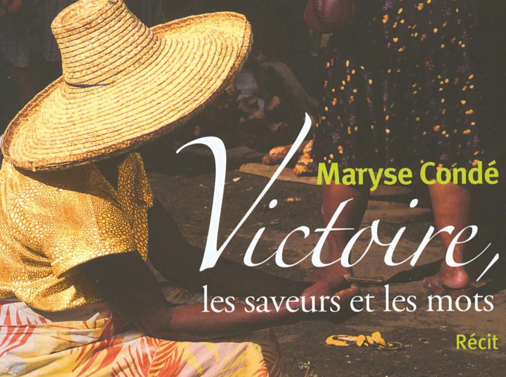 La biografía y la novela con sus contradicciones