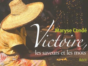 La biografía y la novela con sus contradicciones