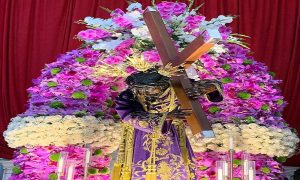 Orquídeas colman los alrededores de la Basílica de Santa Teresa para venerar al Nazareno de San Pablo