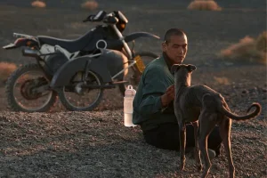 SURTSEY FILMS proximos estrenos