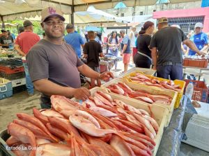 Vendieron más de 2,5 toneladas de pescado en ferias en La Guaira