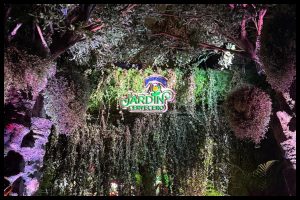 nuevas propuestas, entretenimiento, desconexión y buena música