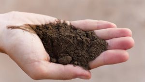 Incautan 49 toneladas de coltán extraídas en selva colombiana que serían enviadas a China