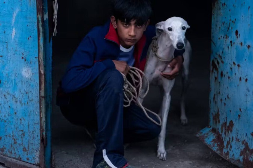 'Ciudad sin sueño' es una mirada íntima a la Cañada Real y una de las grandes películas españolas del año