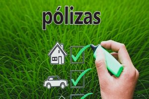 Ligia Carolina Gorriño Castellar - Revolución en el sector seguros ¡El auge de las pólizas ecológicas y sostenibles! - FOTO