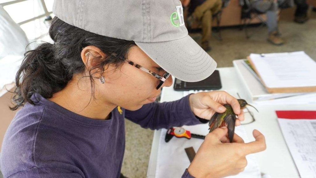 El Jardín Botánico asienta un observatorio de aves