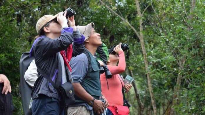 El aviturismo se reúne el sábado en los Andes