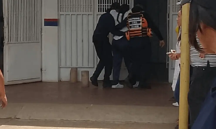 Ataque de un enjambre de abejas dejó al menos 32 heridos en Falcón