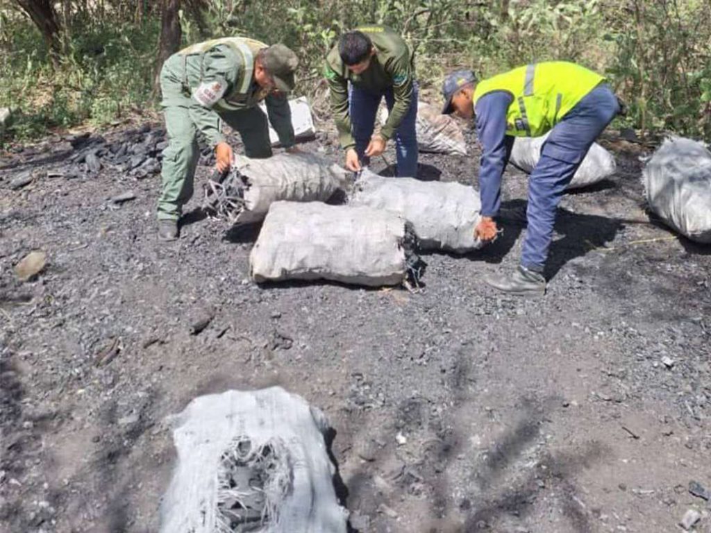 Incautan 1.440 kilos de carbón vegetal provenientes de una extracción ilícita en Lara