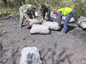 Incautan 1.440 kilos de carbón vegetal provenientes de una extracción ilícita en Lara