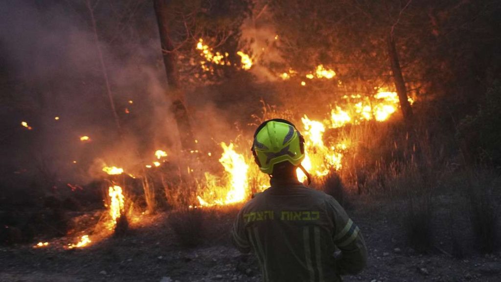 Incendios forestales obligan a Israel a pedir ayuda internacional