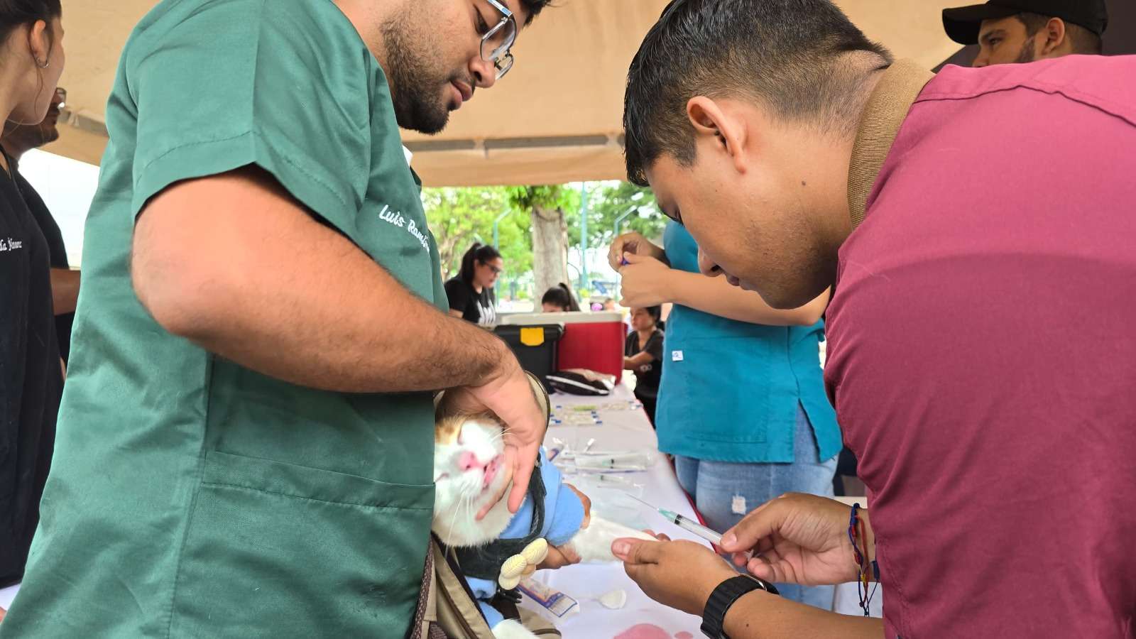 Implantan 300 microchips a animales en estado de abandono en Monagas