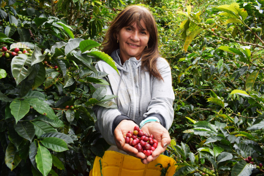 Las mujeres representan el 36 % de la fuerza laboral en los sistemas agroalimentarios en América Latina y el Caribe