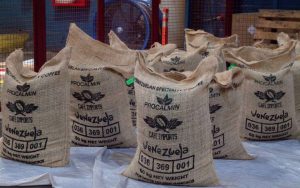 Plan Comunal del Café exportará seis contenedores de granos verdes a Italia y EEUU